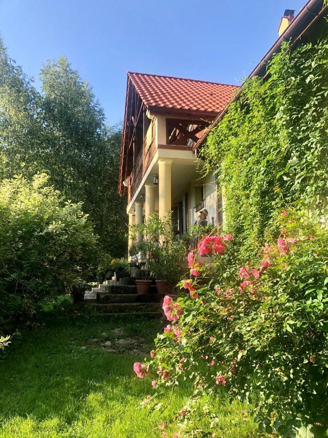 クラシチン Modryna Ranczo Bed & Breakfast エクステリア 写真