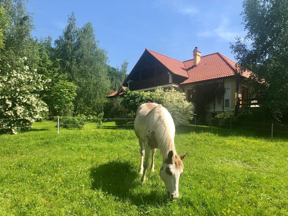 クラシチン Modryna Ranczo Bed & Breakfast エクステリア 写真